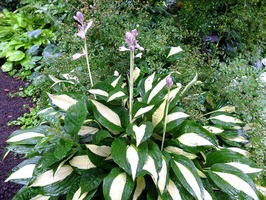 DSCF3625_R