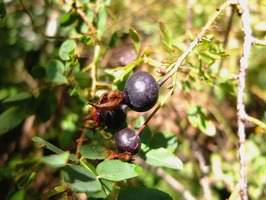 DSCF5058_R