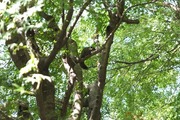 DSCF6933_R