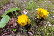 DSCF9536_R
