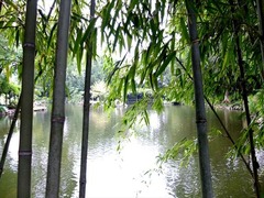 DSCF9398_R