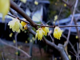 DSCF0547_R