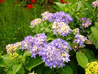 DSCF8126_R
