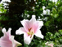 DSCF8549_R