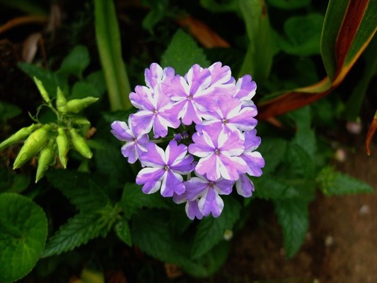 DSCF4310_R