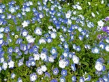 DSCF6961_R