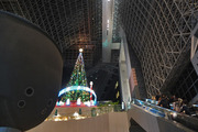 DSCF8317_R