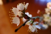 DSCF9934_R