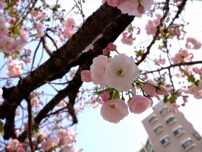 DSCF8291_R