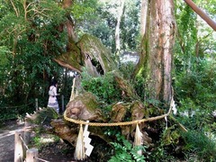 DSCF9556_R