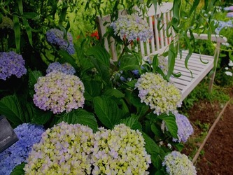 DSCF8429_R
