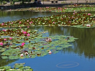 DSCF7947_R