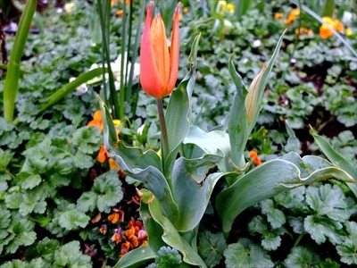 DSCF8371_R