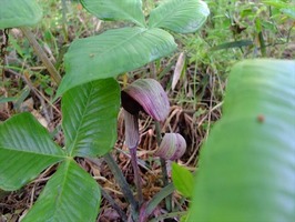 DSCF2168_R