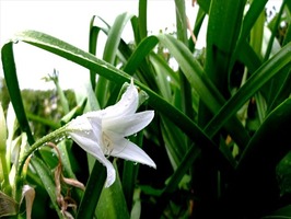 DSCF8952_R