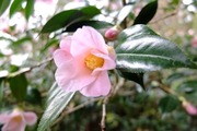 DSCF9170_R
