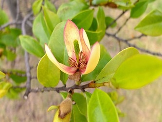 DSCF6937_R