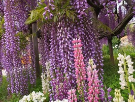 DSCF2357_R