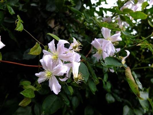 DSCF4297_R