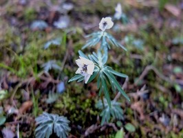 DSCF1185_R
