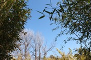 DSCF8949_R