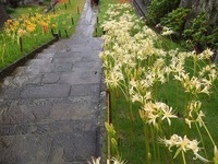 DSCF4967_R