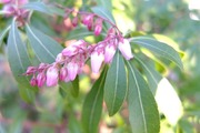 DSCF9584_R