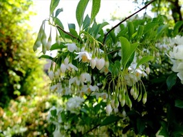 DSCF2490_R