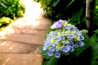 DSCF8562