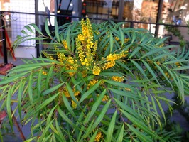 DSCF5828_R