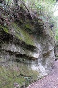DSCF9510_R