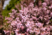 DSCF8949_R