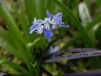 DSCF7478_R