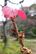 DSCF0481_R