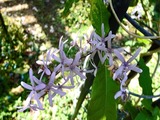 DSCF7871_R