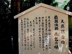 DSCF9555_R