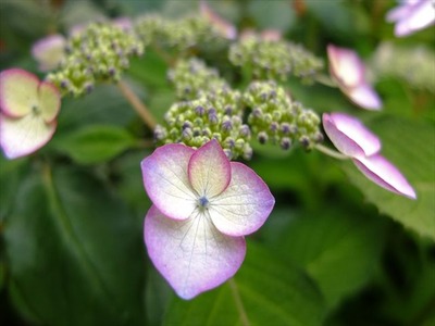 DSCF8117_R