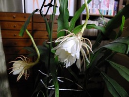 DSCF3777_R