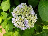 DSCF8007_R