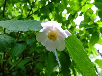 DSCF8258_R