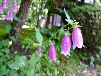 DSCF8307_R