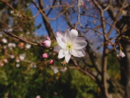 DSCF5737_R