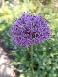 DSCF1685_R