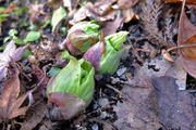 DSCF9492_R