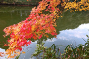 DSCF7882_R
