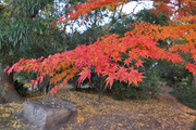 DSCF8578_R