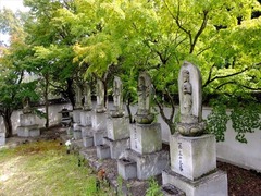 DSCF9575_R