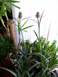 DSCF8567_R