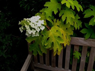DSCF8348_R