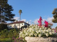 DSCF6130_R
